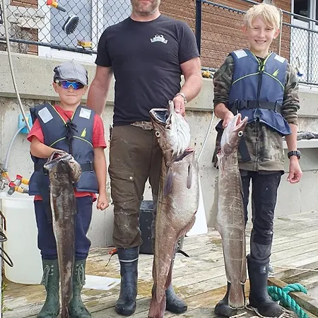 Lauvoy Feriesenter *