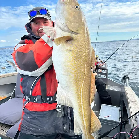 Lauvoy Feriesenter Apartment