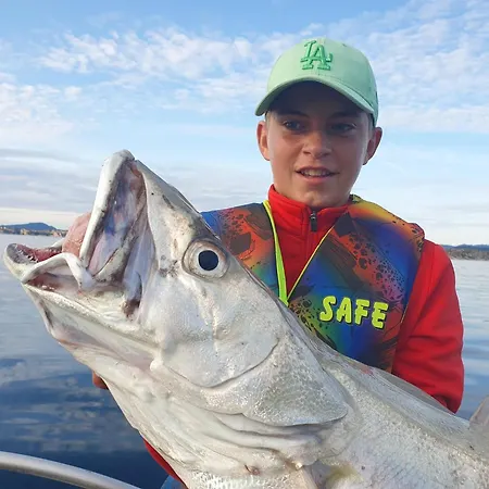 Lauvøy Feriesenter Apartment *