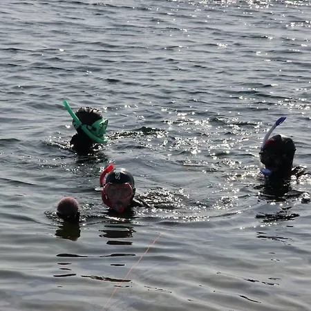 Apartment Lauvøy Feriesenter *